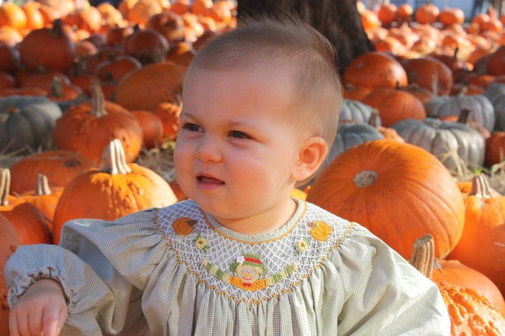 Davis Collins' album, Collins at the Pumpkin Patch