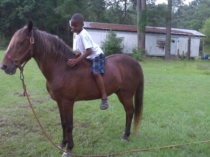 Kevin Webb's album, My Sons