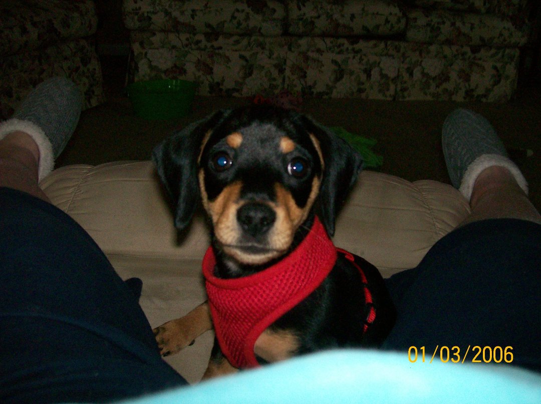 Meaghan Beverage's album, Kodak EasyShare