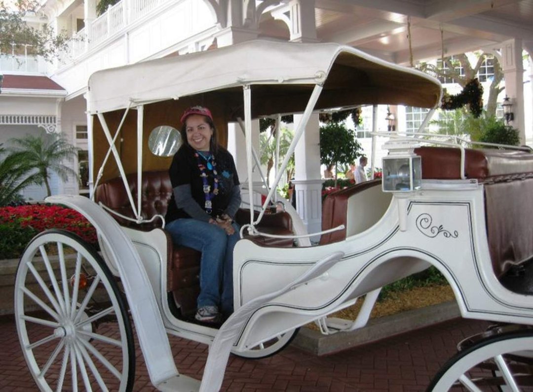 Cindi Seelig's album, Christmas at Disney World, 2010