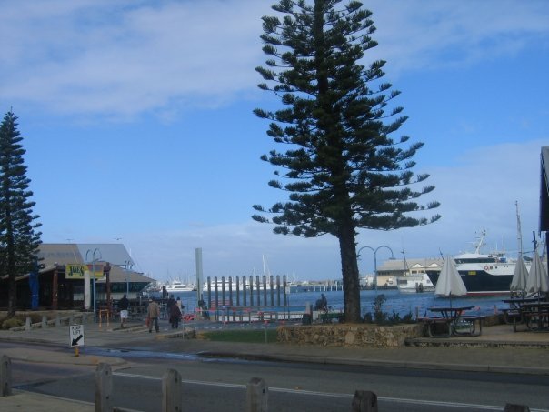 Jackie Alfonso's album, Australia Album 4