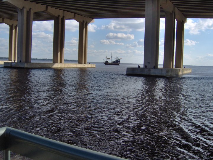 Cathy Hersom's album, Florida in November 2009