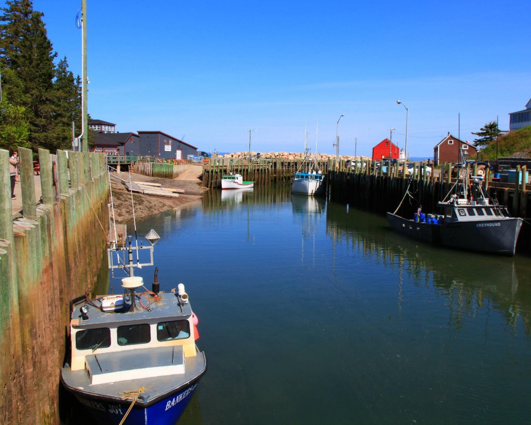 Mark Gorin's album, Halls Harbour