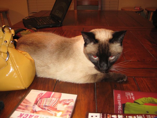 Aline Sorrell's album, Christmas 2009