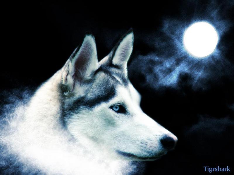 Deborah Kaiser's album, April 30, 2011