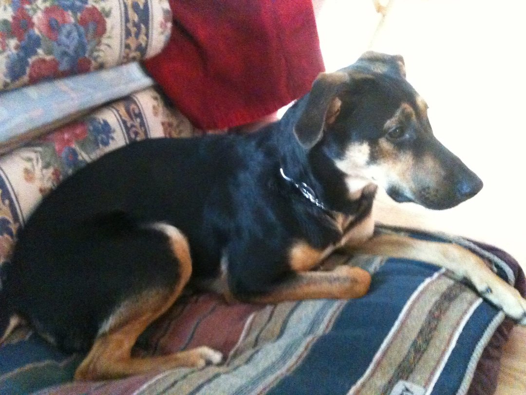 Lacey Techlowicz's album, Jade <3