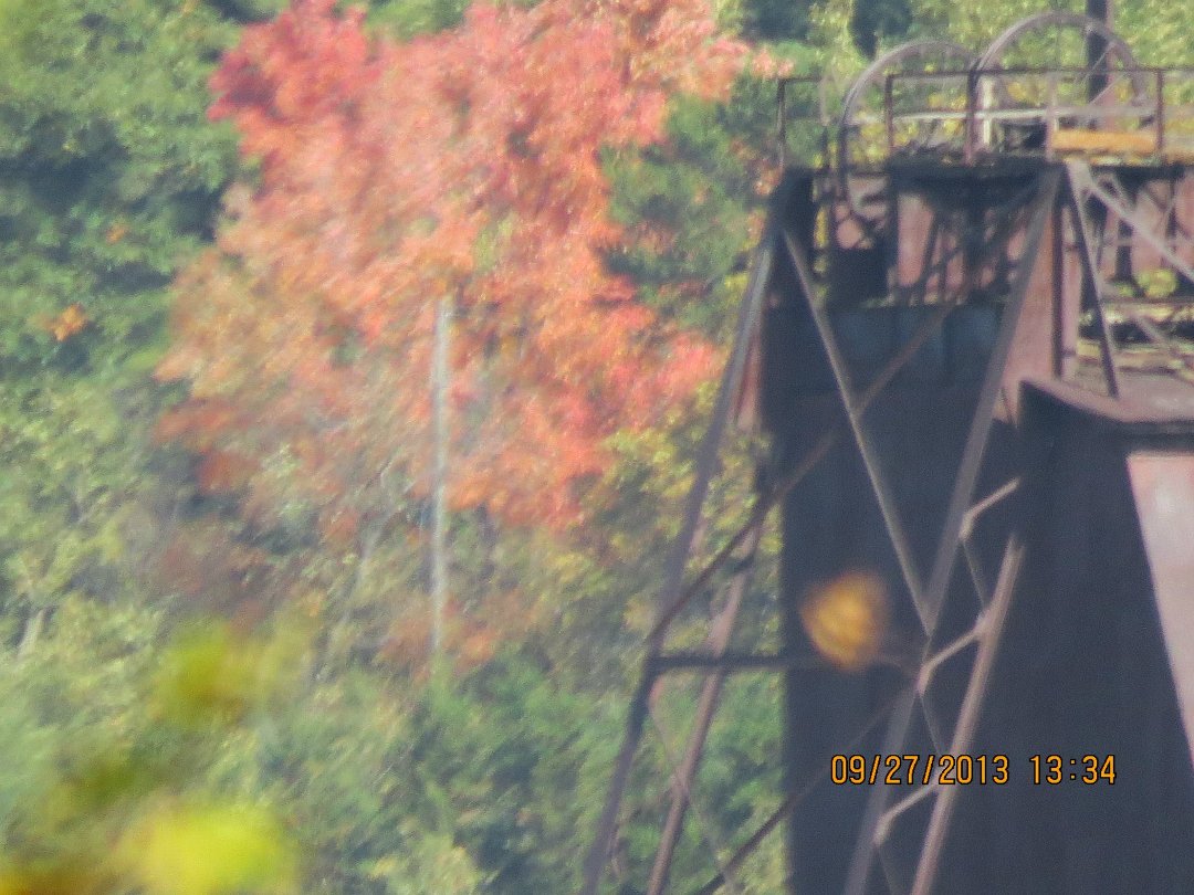 Mike Ivey's album, September 2013