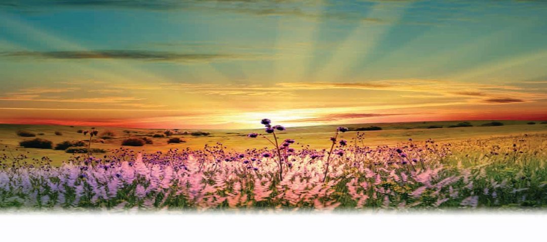 Janet walleck's album, Cover Photos