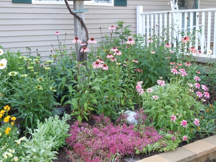 Paul Daigle's album, July 15, 2011