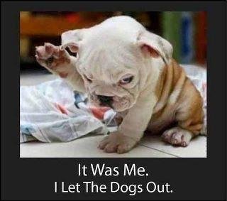 Patsy Downey's album, Timeline Photos