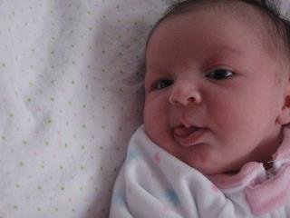 Michael Monaghan's album, Laila Marie
