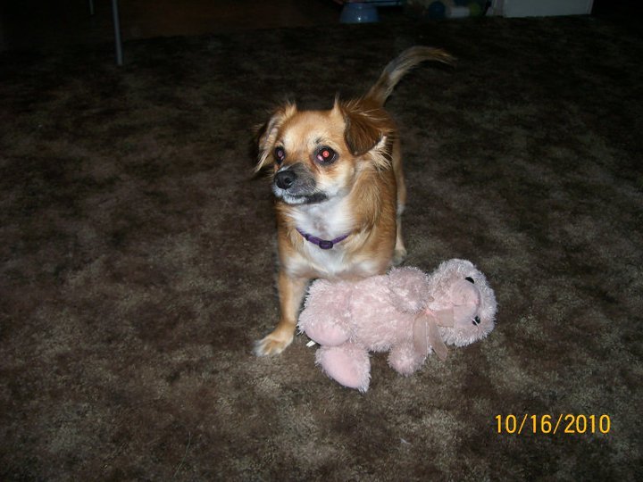Ronalee Anderson's album, February 10, 2011