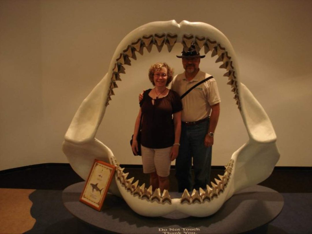 Gary Cook's album, Nags Head 2010