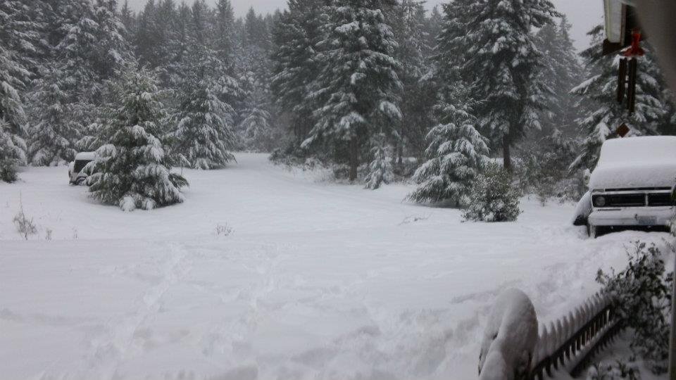 Sharon Worthington's album, Winter of 2012