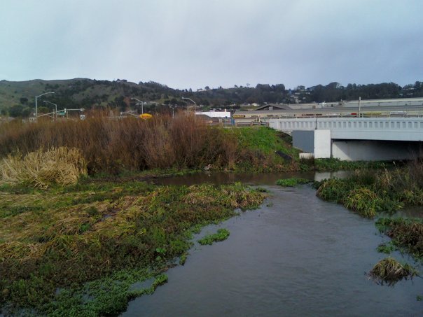 Nancy O'Brien's album, Stormy Pacifica