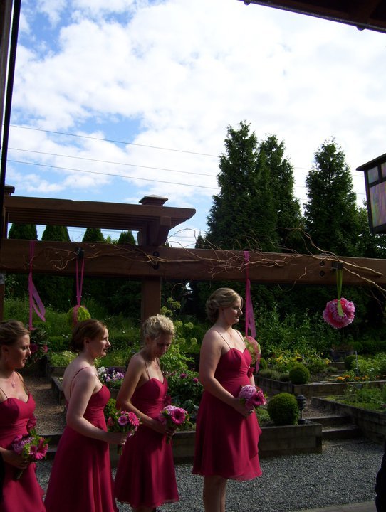 Meri Barton's album, Renee's wedding