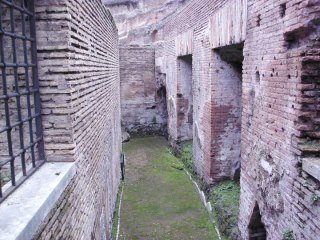 John Wallace's album, Rome 2011