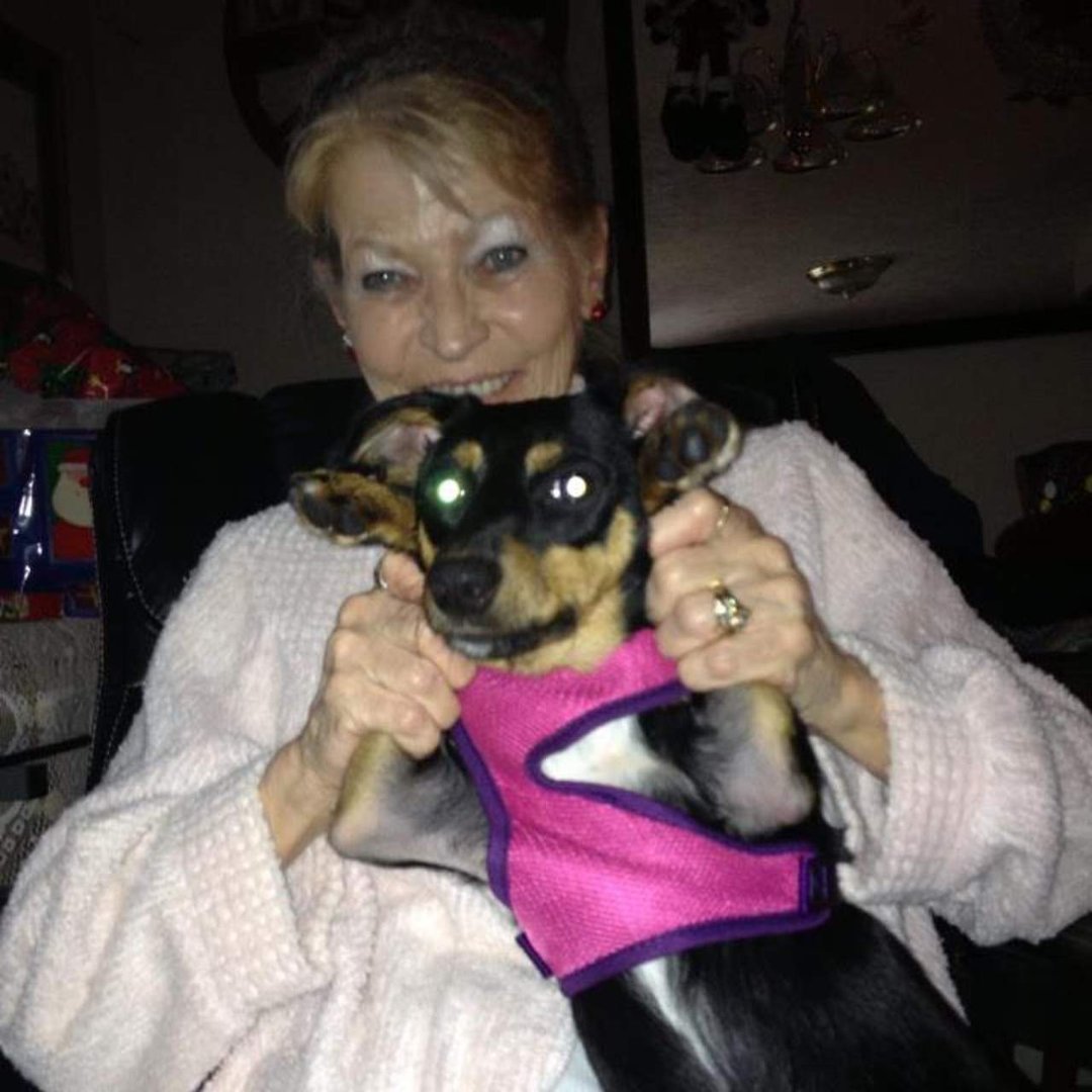 Sharon Gulley's album, Profile Pictures