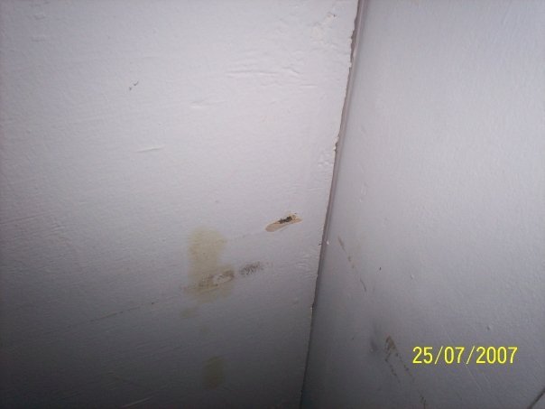 Michael McDonnell's album, OIF 06-08 part2