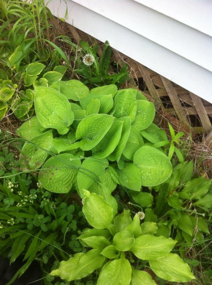 Debbie Bloodworth's album, iOS Photos