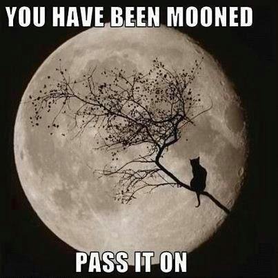 Candice Burns' album, Timeline Photos
