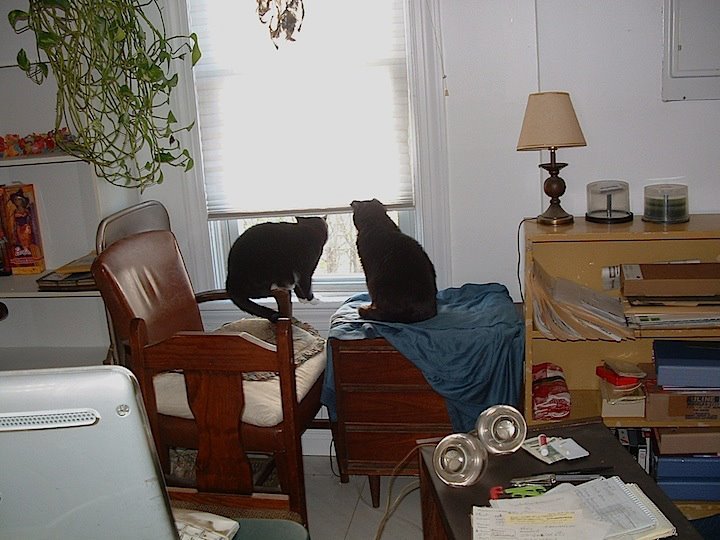 Jean Carl-Klein's album, Ted E. Bear - "Bear" - A memorial 5-95/7-12