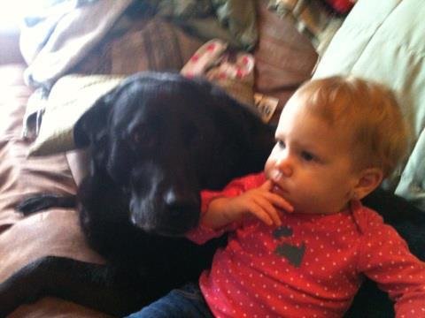 Cheryl Cooper's album, iOS Photos