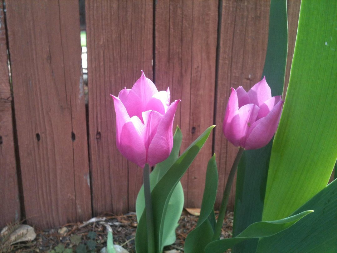 Caryn Spaulding's album, Timeline Photos