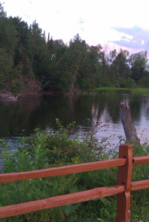 Barb Colombo's album, Mobile Uploads