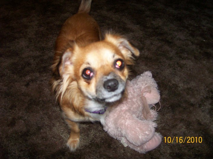 Ronalee Anderson's album, February 10, 2011