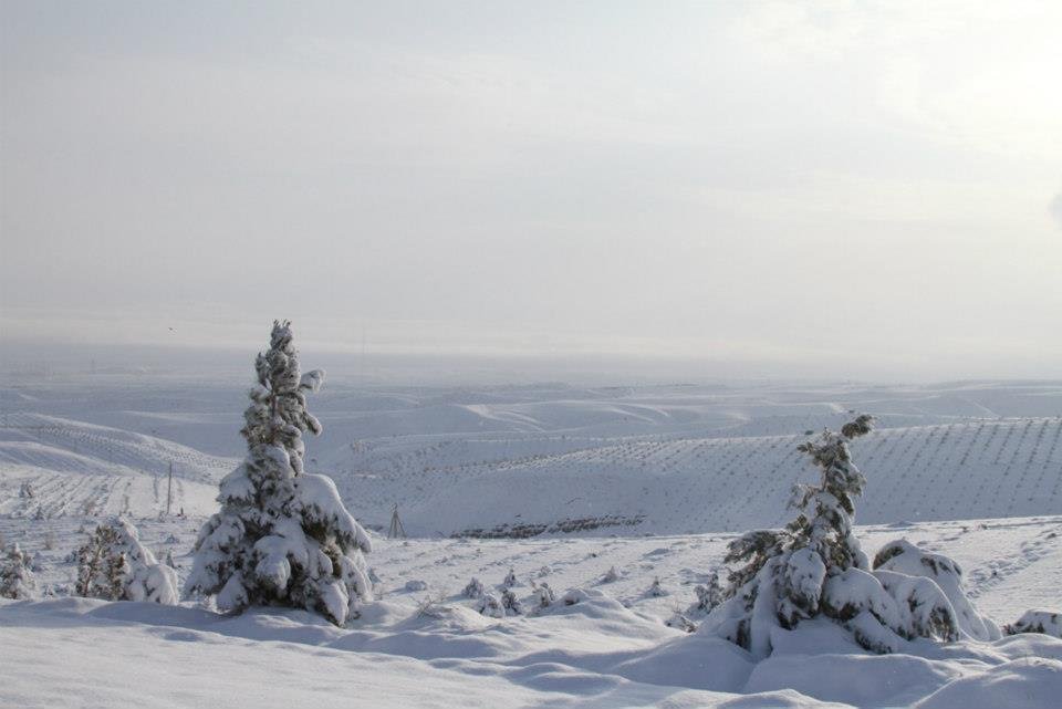 Bill Leaf's album, Snowy Kopet Dag - March 8, 2013