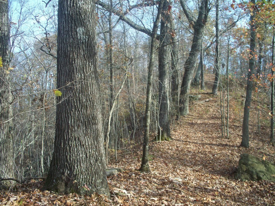 Bobby Adkins' album, natures work of art