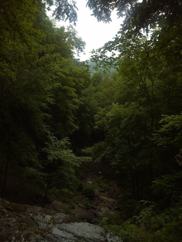 Edward Tryon's album, Tinkers Falls, NY
