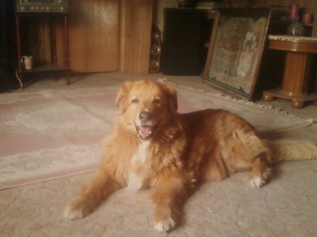 david cramer's album, Mobile Uploads
