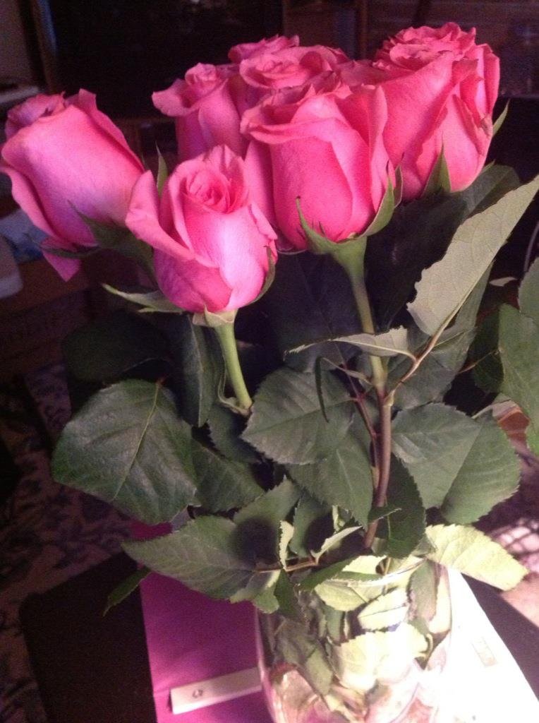 Terry Kehoe's album, iOS Photos