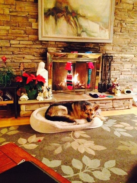 Terry Bazzoon's album, Timeline Photos
