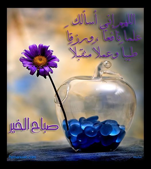 Rawan Halawi's album, Timeline Photos
