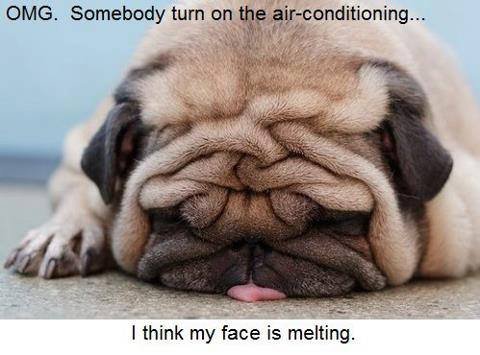 Penny Walker's album, Timeline Photos