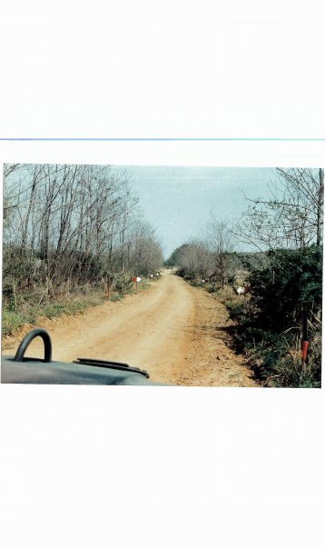 Rodney Evans' album, korea