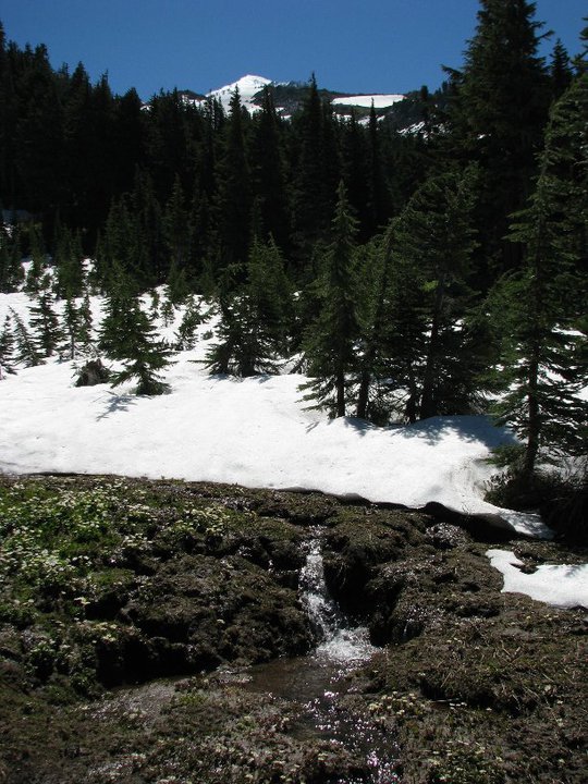 Larry Sevy's album, Hiking to McNeil Point
