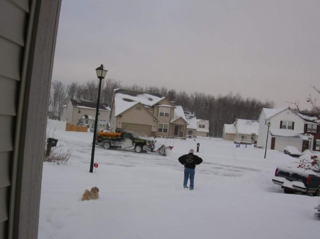 Bob Wilson's album, snow days