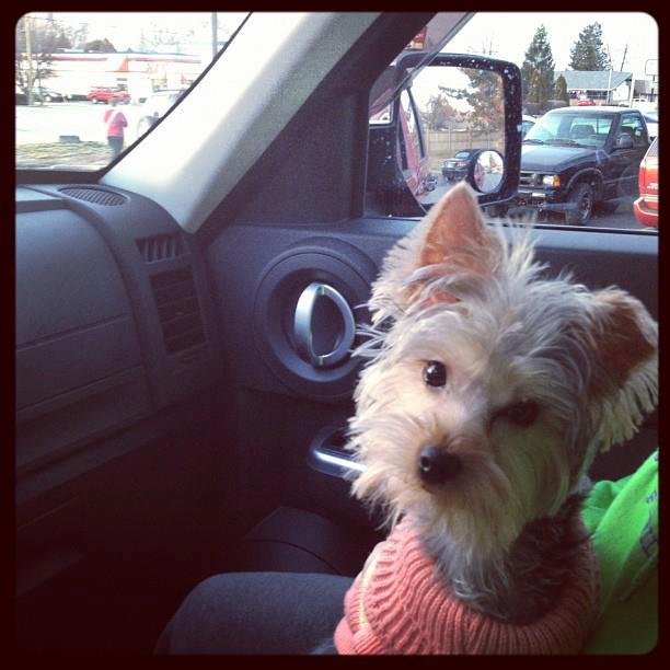 Jeff Melton's album, Timeline Photos