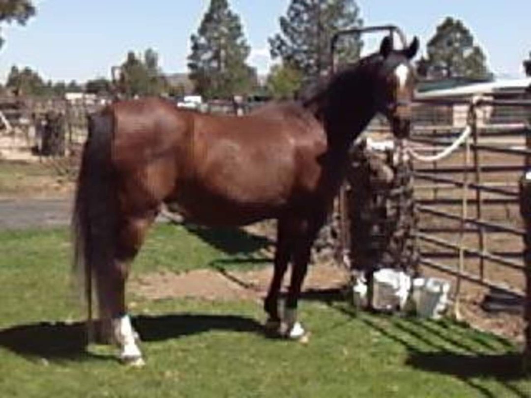 Debra Kentta's album, Mobile Uploads