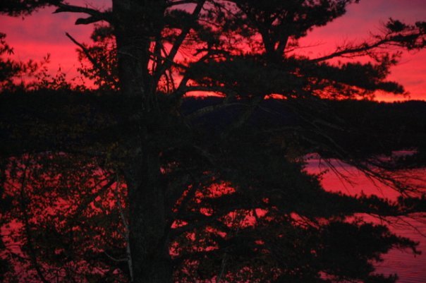 David Meserve's album, The View from "Camp Dave"