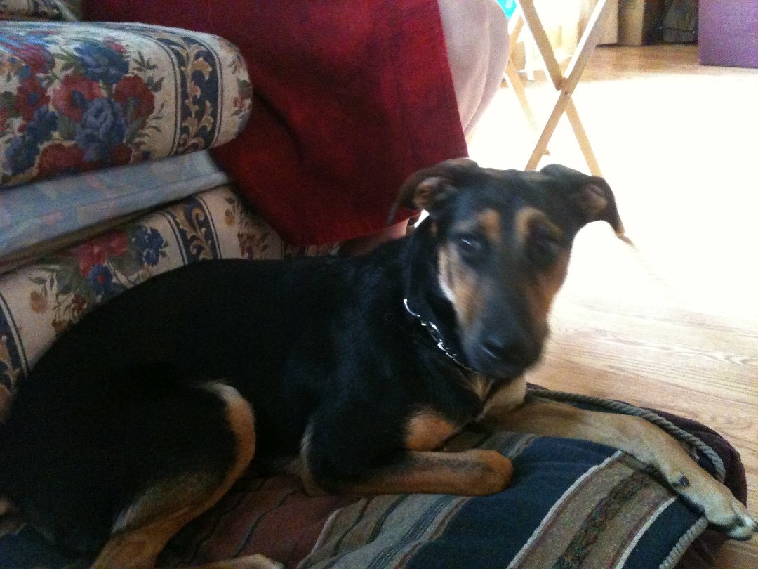 Lacey Techlowicz's album, Jade <3
