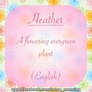 Heather Levier's album, Name Meaning Photos