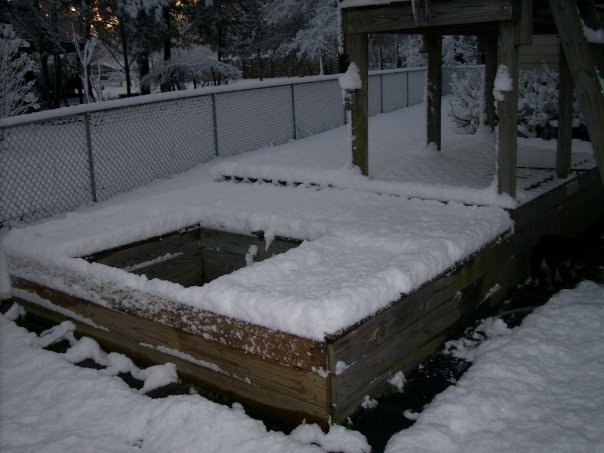 Donald Austin's album, Feb 2010 Snow