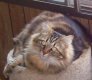 JOANN GODWIN's album, Timeline Photos