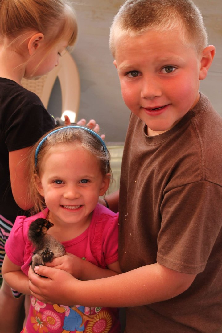 Pam Randall's album, Modoc County Children's Fair