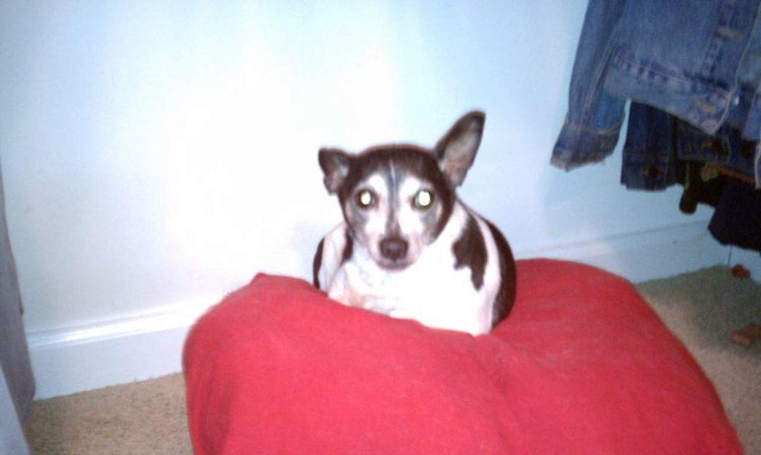 Brenda Cannington's album, Buster Lee Cannington